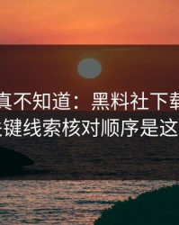 不写你真不知道：黑料社下载黑料的关键线索核对顺序是这样