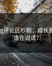 糖心vlog评论区吵翻：成长复盘到底谁在说谎？
