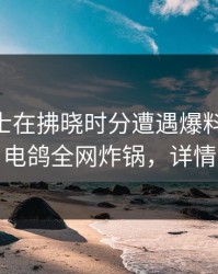 业内人士在拂晓时分遭遇爆料 震撼人心，电鸽全网炸锅，详情探秘
