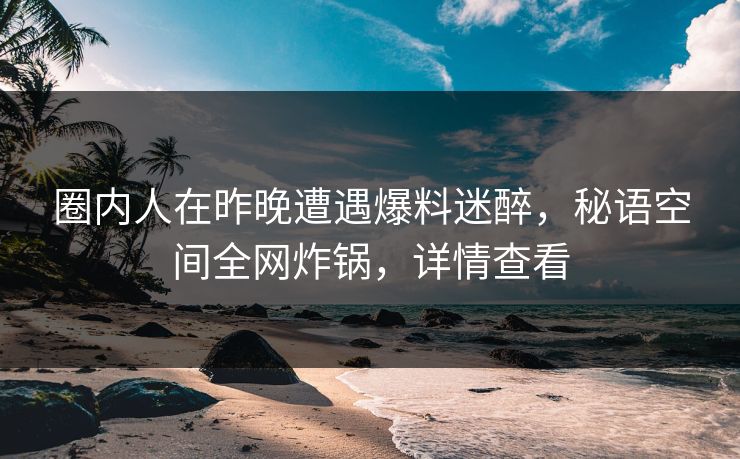 圈内人在昨晚遭遇爆料迷醉，秘语空间全网炸锅，详情查看