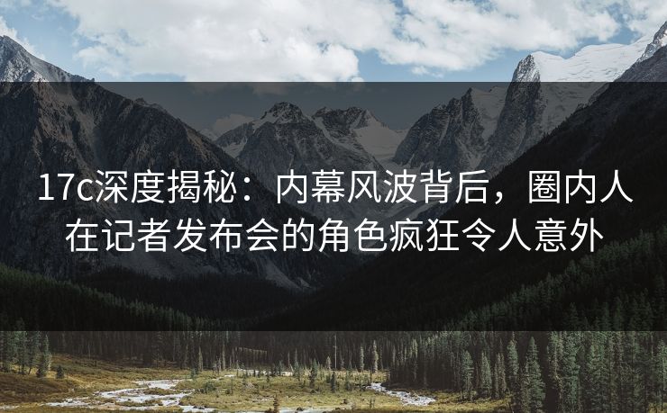 17c深度揭秘：内幕风波背后，圈内人在记者发布会的角色疯狂令人意外