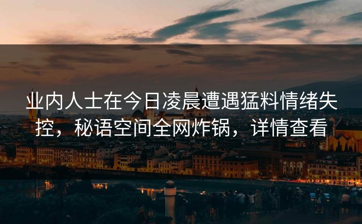 业内人士在今日凌晨遭遇猛料情绪失控，秘语空间全网炸锅，详情查看