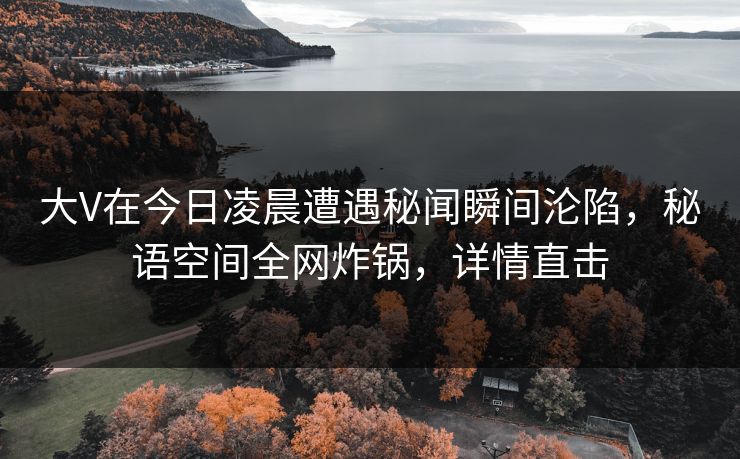 大V在今日凌晨遭遇秘闻瞬间沦陷，秘语空间全网炸锅，详情直击