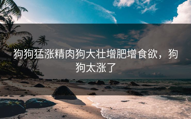 狗狗猛涨精肉狗大壮增肥增食欲，狗狗太涨了