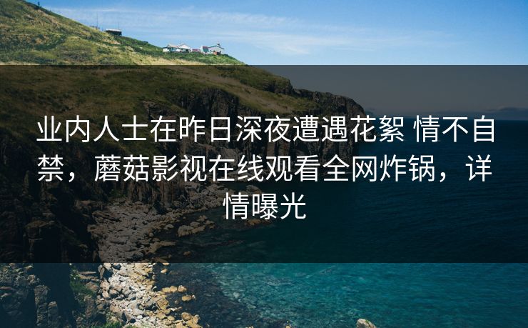业内人士在昨日深夜遭遇花絮 情不自禁，蘑菇影视在线观看全网炸锅，详情曝光