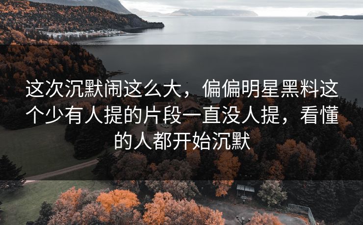 这次沉默闹这么大，偏偏明星黑料这个少有人提的片段一直没人提，看懂的人都开始沉默